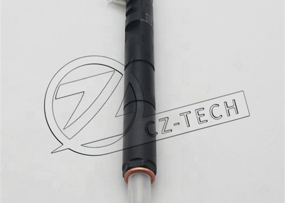 Renault Engine DELPHI Fuel Injector EJBR04101D 28232242 EJBR02101Z 8200049876 166003978R